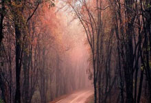 9月14日UFC：提耶戈·洛佩斯vs简·席尔瓦，拳手洛佩斯