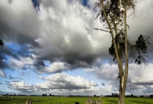 9月14日UFC：提耶戈·洛佩斯vs简·席尔瓦，拳手洛佩斯