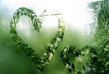 9月14日UFC:提耶戈·洛佩斯vs简·席尔瓦,拳手洛佩斯