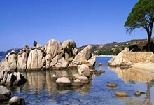 法尔克：拜仁计划把金斯利-科曼纳入哈维-西蒙斯的交易中