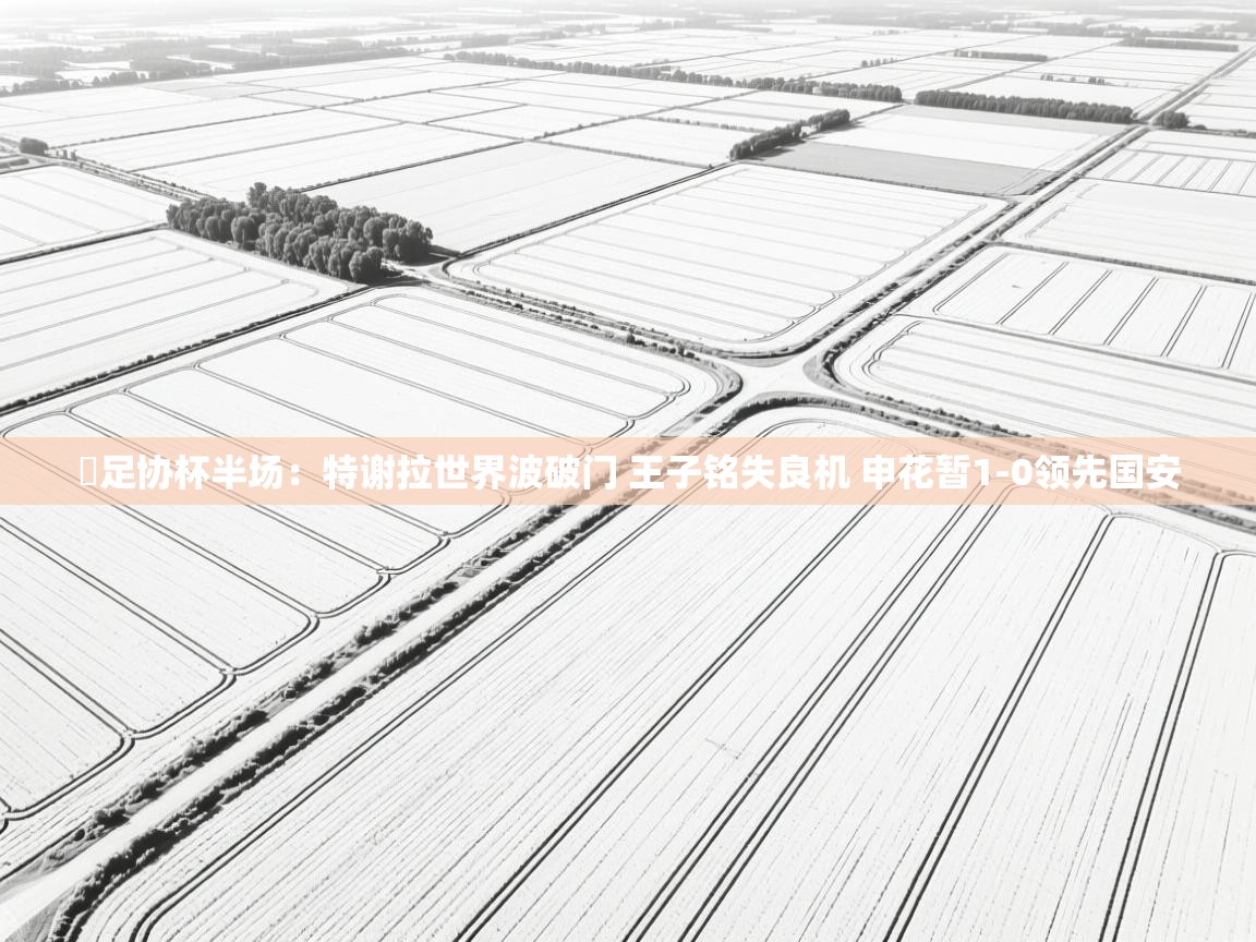 ⚽足协杯半场：特谢拉世界波破门 王子铭失良机 申花暂1-0领先国安