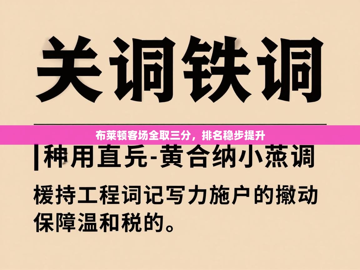 布莱顿客场全取三分,排名稳步提升 第1张