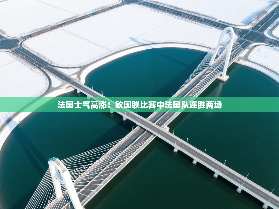 法国士气高涨！欧国联比赛中法国队连胜两场  第2张