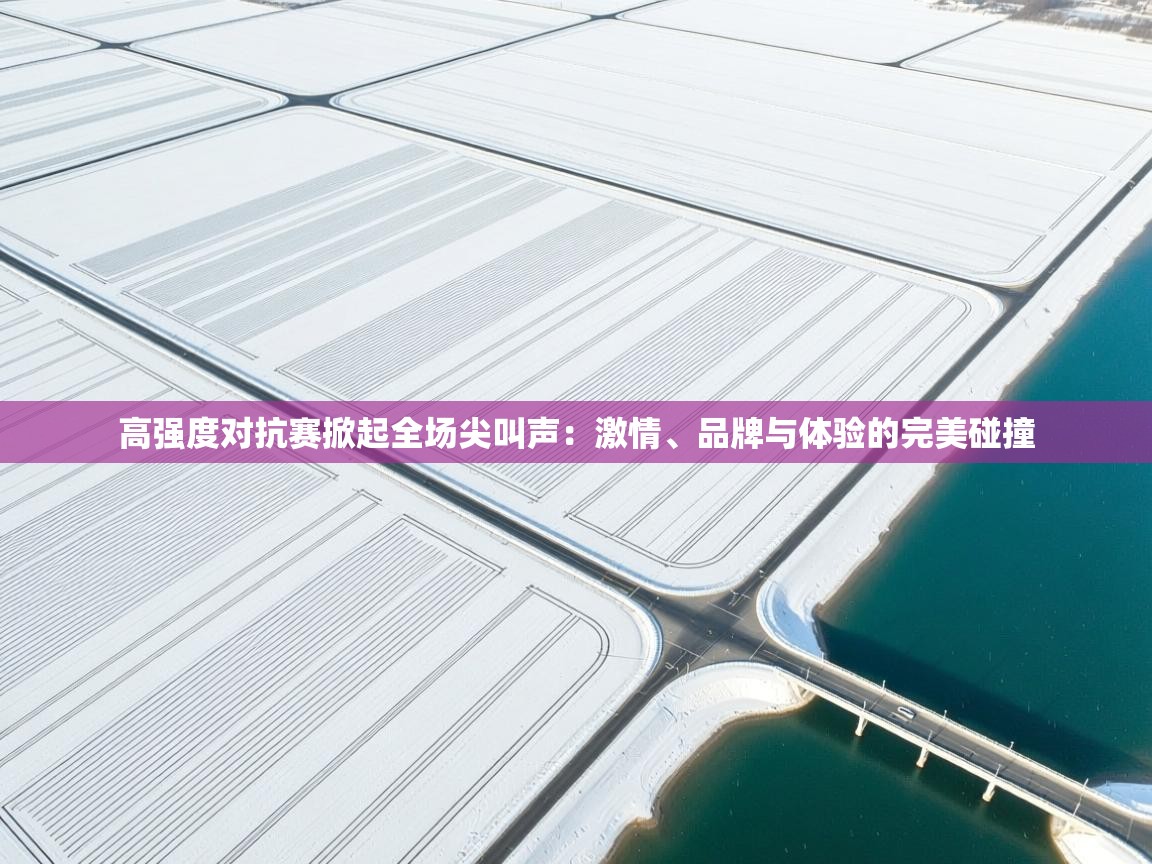 高强度对抗赛掀起全场尖叫声:激情、品牌与体验的完美碰撞