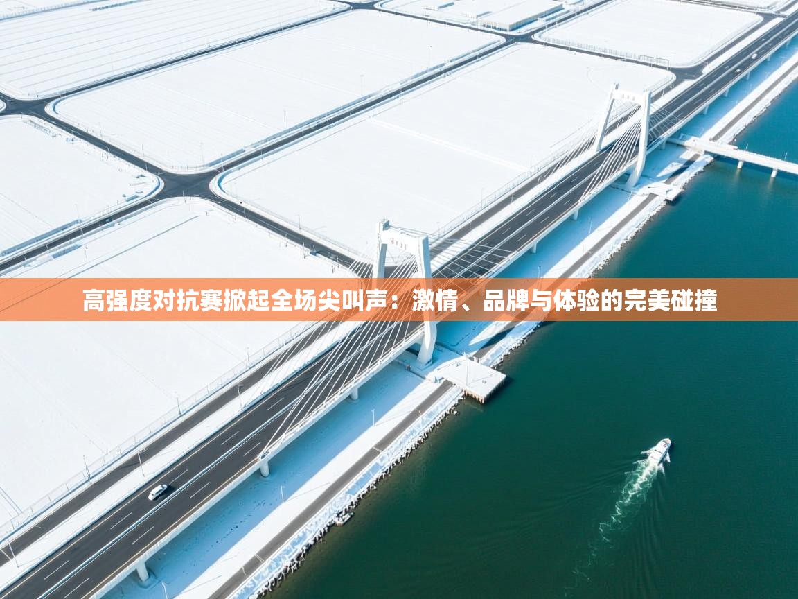 高强度对抗赛掀起全场尖叫声：激情、品牌与体验的完美碰撞  第2张