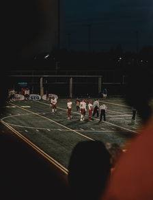 开云体育官网入口网页-赛场上的精彩瞬间持续燃爆，球迷情绪高涨